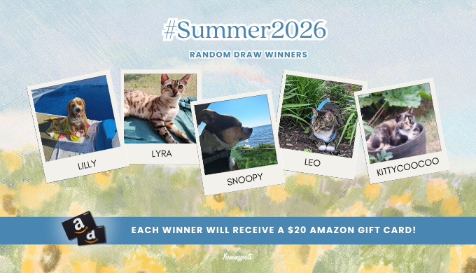 summer2026 photo contest winners
